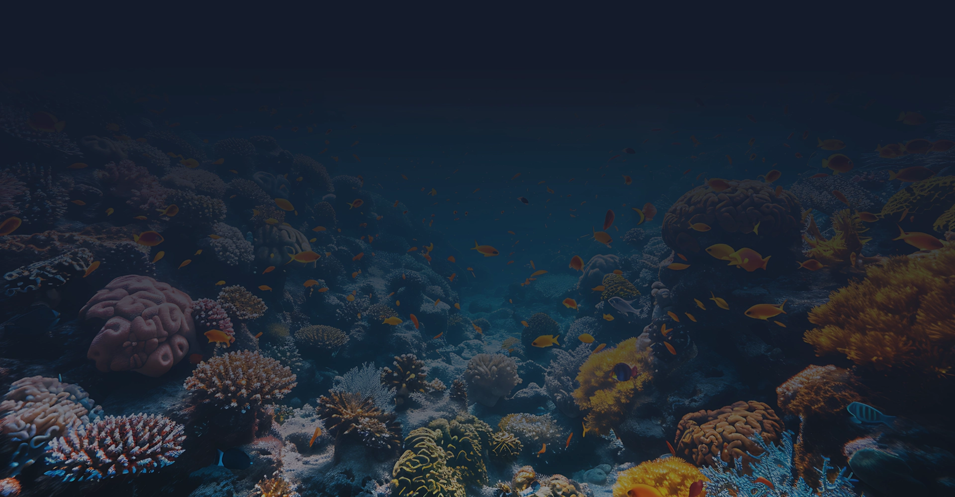 Leadership en action
